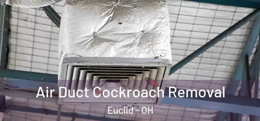 Air Duct Cockroach Removal Euclid - OH