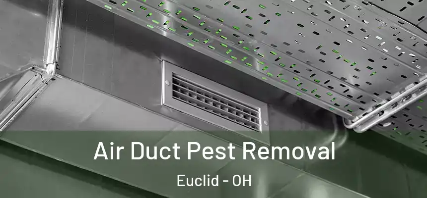Air Duct Pest Removal Euclid - OH