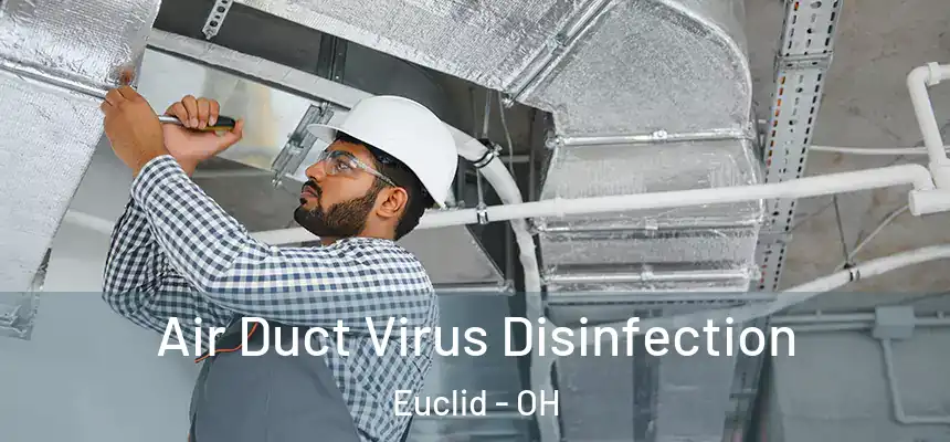  Air Duct Virus Disinfection Euclid - OH