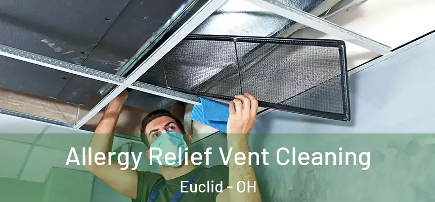 Allergy Relief Vent Cleaning Euclid - OH