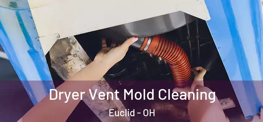  Dryer Vent Mold Cleaning Euclid - OH