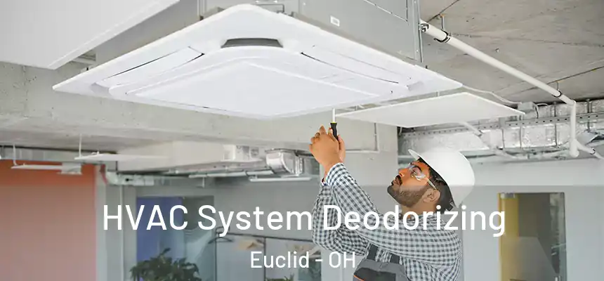  HVAC System Deodorizing Euclid - OH