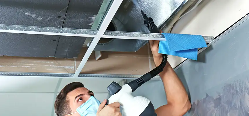 Our Air Duct Rodent Removal Services in Euclid, OH