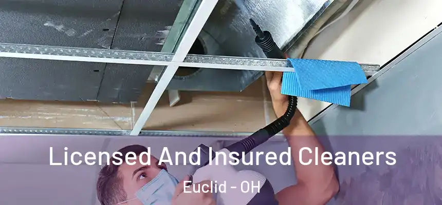  Licensed And Insured Cleaners Euclid - OH