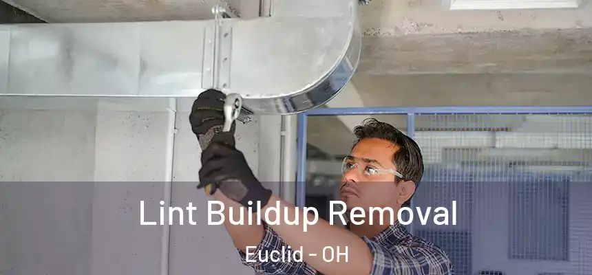  Lint Buildup Removal Euclid - OH