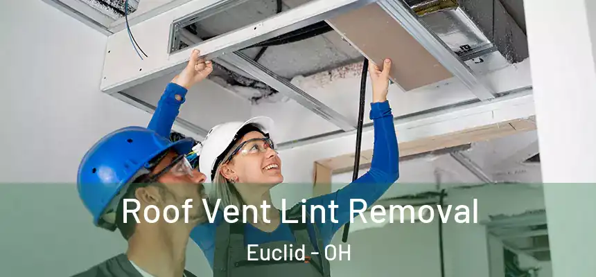  Roof Vent Lint Removal Euclid - OH