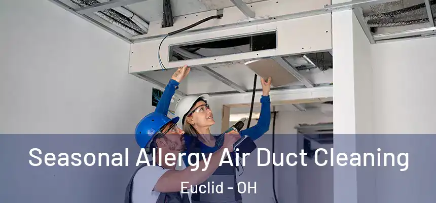 Seasonal Allergy Air Duct Cleaning Euclid - OH