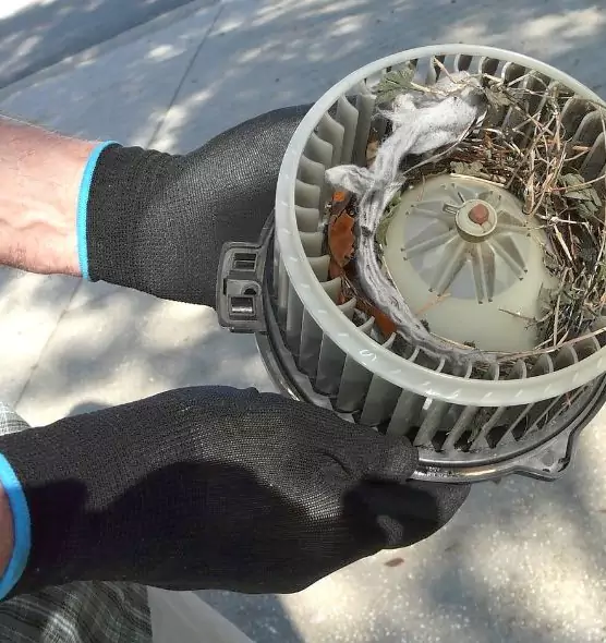 About Air Duct Rat Removal in Euclid, OH