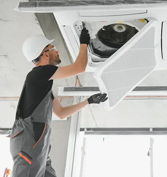 About Air Duct Rodent Removal in Euclid, OH