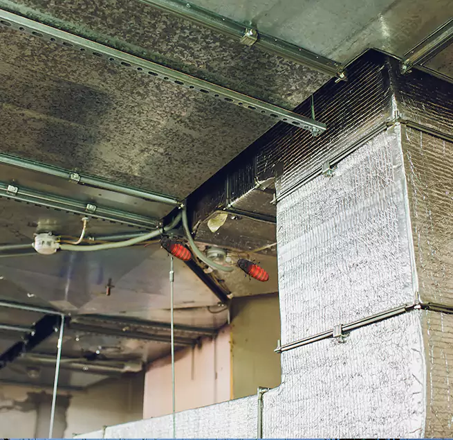 Why Homeowners & Businesses Trust Us in Euclid, OH?